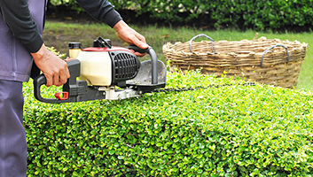 Hedge Trimming