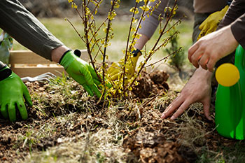 Gardening