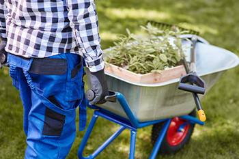 Hedge Removing